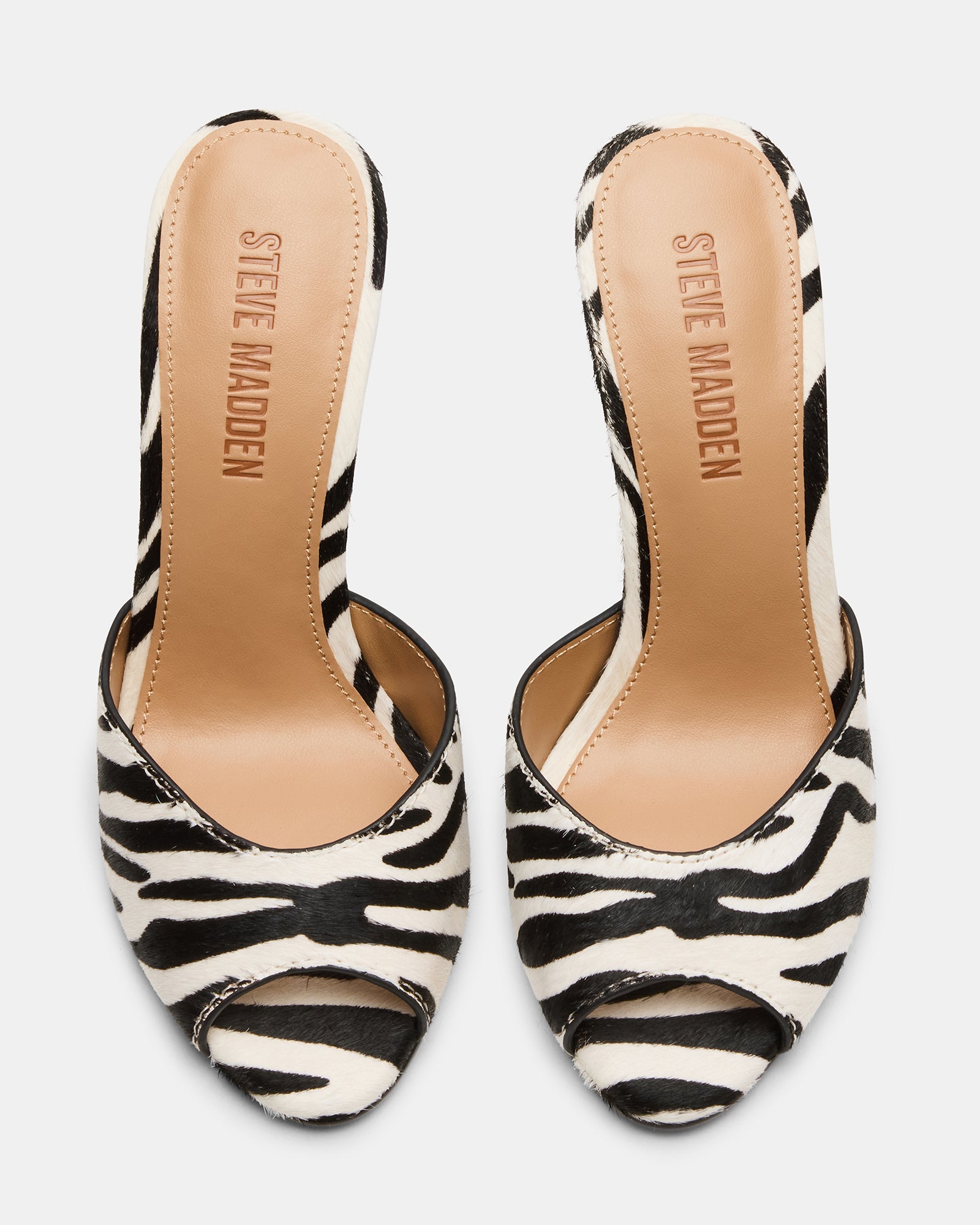 PRIYA ZEBRA - Image 4